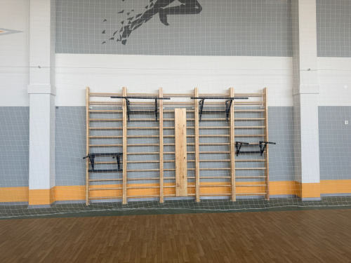 Брусья навесные (на шведскую стенку) СТ-27#11