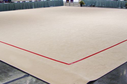 Ковер для художественной гимнастики соревновательный (ПА 100%)#2