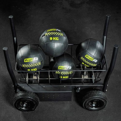 Сани-тележка для функционального тренинга ТАНГЕН#10