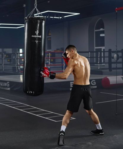 Мешок боксерский INSANE PRO PUNCH IN25-PB-02 170 см, 70 кг (тент)#2