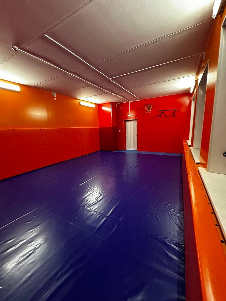 НОУ «Православный детский дом Павлин» НОУ «Православный детский дом Павлин»