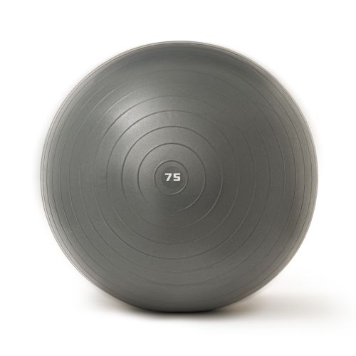 Мяч гимнастический TORRES 75 см (серый)#3