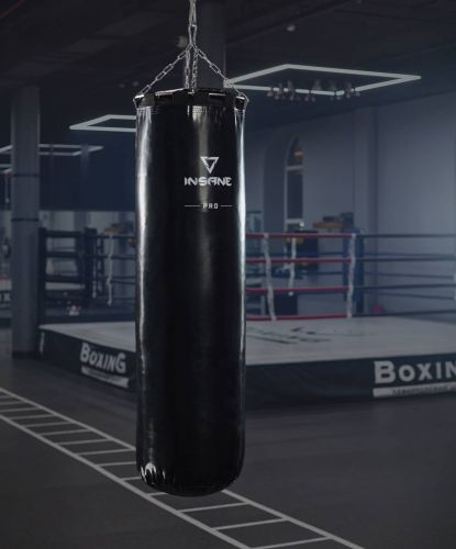 Мешок боксерский INSANE PRO PUNCH IN25-PB-02 170 см, 70 кг (тент)#4