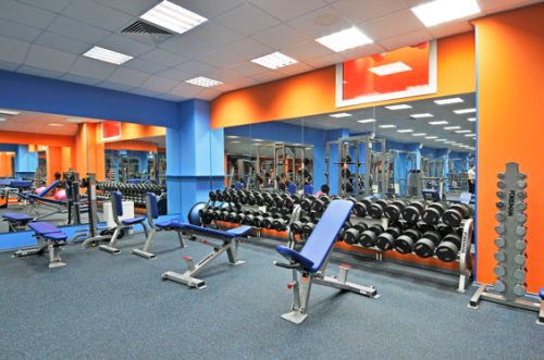 Подставка под легкие гантели (вертикальная) FOREMAN FR-817#2 Подставка под легкие гантели (вертикальная) FOREMAN FR-817#2