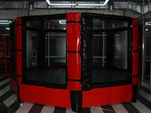 Восьмиугольный ринг ММА на помосте d=7 м (высота помоста 0,5 м)#2