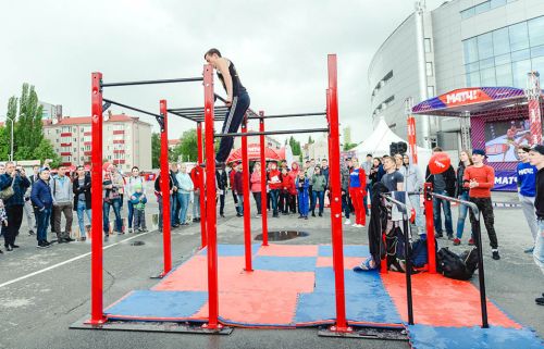 Мобильный комплекс для Воркаута Стандарт-8#2