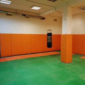 ФГАОУ ВО РНИМУ имени Н.И. Пирогова ФГАОУ ВО РНИМУ имени Н.И. Пирогова