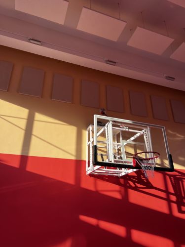 Щит баскетбольный со складной пристенной фермой на электроприводе (к-т: ферма, щит из закаленного стекла 10мм, протектор, аморт. кольцо, сетка) СТ-456#6