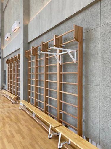 Стенка гимнастическая с выносом "Стандарт" 2000х800х135мм (боковины из массива сосны, березовые перекладины, в деталях) СТП-21#6 Стенка гимнастическая с выносом "Стандарт" 2000х800х135мм (боковины из массива сосны, березовые перекладины, в деталях) СТП-21#6