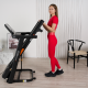 Беговая дорожка домашняя SVENSSON BODY LABS BALANCE D#9 Беговая дорожка домашняя SVENSSON BODY LABS BALANCE D#9