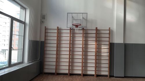 Стенка гимнастическая "Премиум" 2800х800х150мм ГОСТ (боковины из мебельного щита, березовые перекладины, в деталях) СТМ-539#6