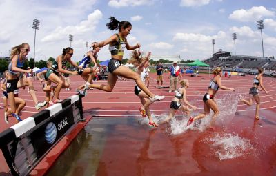 Набор оборудования для бега с препятствиями Набор оборудования для бега с препятствиями