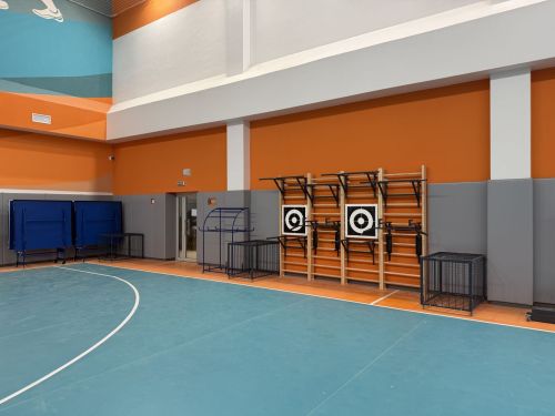 Щит для метания в цель 600х600 мм, навесной (фанера) СТ-316#8