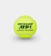 Мяч теннисный Dunlop ATP Championship 4B#2 Мяч теннисный Dunlop ATP Championship 4B#2