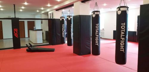 Мешок боксерский TOTALFIGHT СМК (нат.кожа)#2