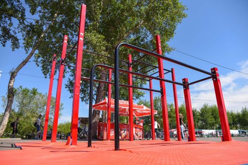 Мобильный комплекс для Воркаута Стандарт-8#4