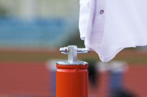 Индикатор направления ветра POLANIK WI-S301#2