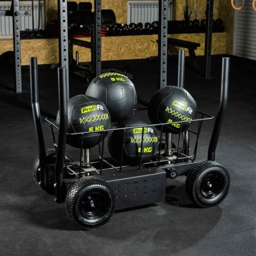 Сани-тележка для функционального тренинга ТАНГЕН#11