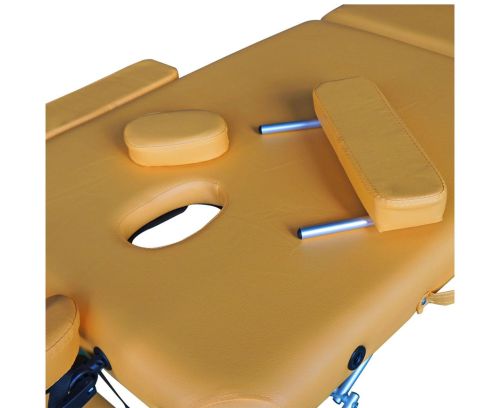 Массажный стол DFC NIRVANA Elegant (алюм. ножки) горчичный (Mustard)#7 Массажный стол DFC NIRVANA Elegant (алюм. ножки) горчичный (Mustard)#7