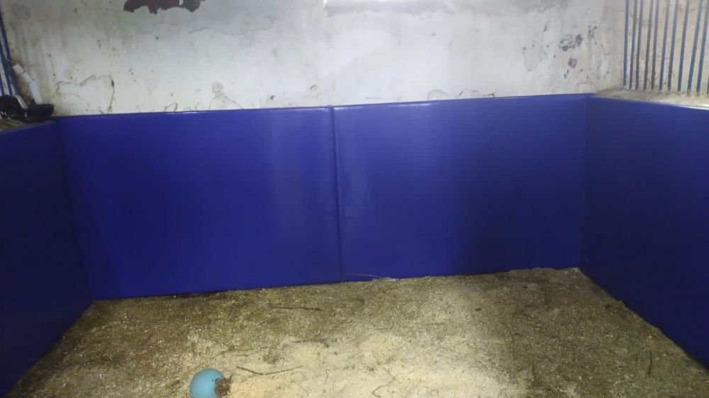 Центральный Московский ипподром Центральный Московский ипподром