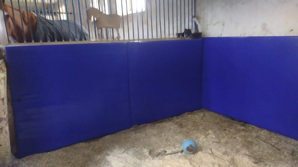 Центральный Московский ипподром Центральный Московский ипподром