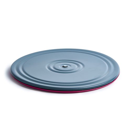 Диск здоровья MR-D-241 d=28 см (металл) розовый/графит#4