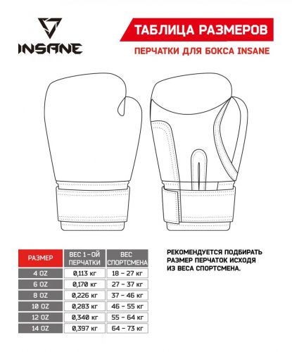 Перчатки боксерские INSANE ARES IN22-BG300 (кожа) 8 oz#5 Перчатки боксерские INSANE ARES IN22-BG300 (кожа) 8 oz#5