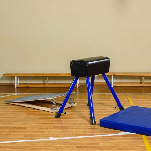 Мостик гимнастический подкидной (2 пружины)#5