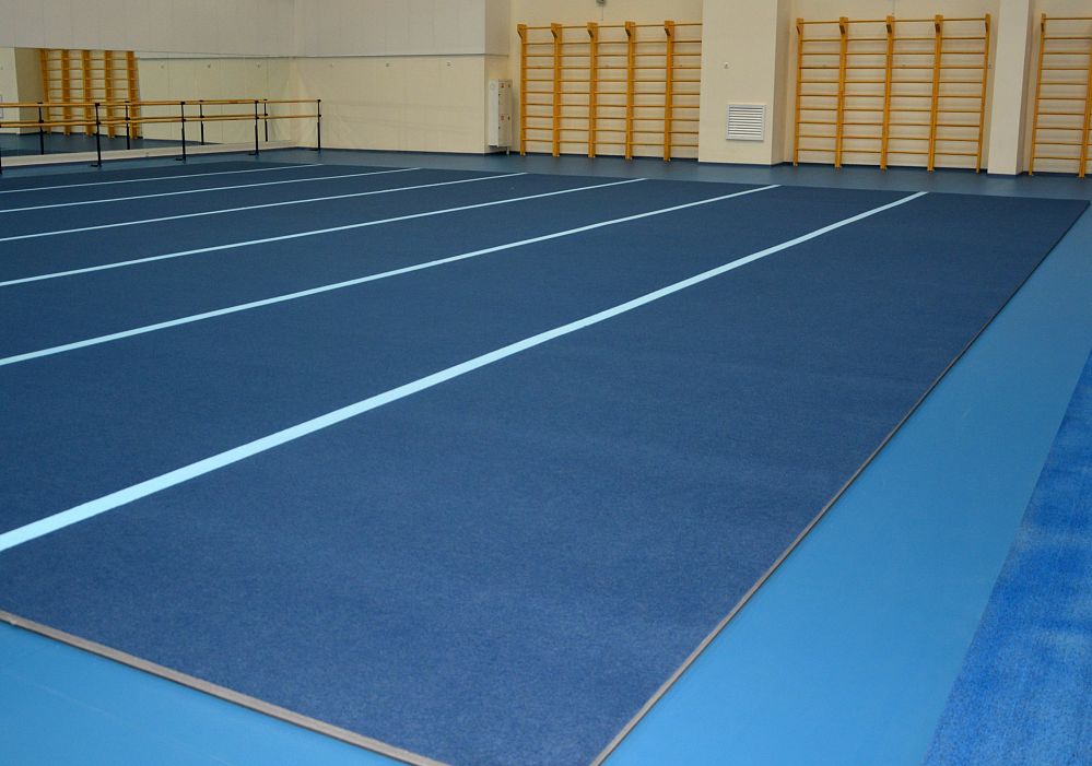 Центр синхронного плавания Анастасии Давыдовой, г. Москва