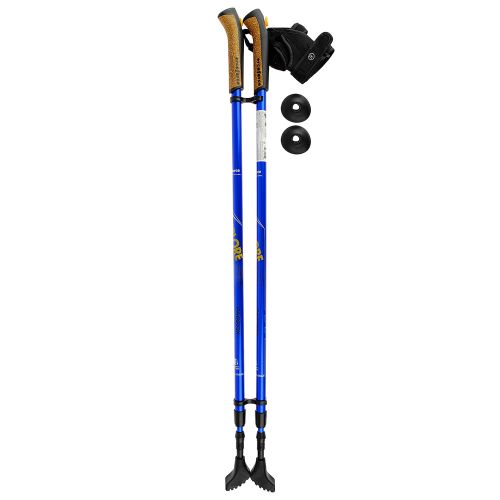 Палки для скандинавской ходьбы Ergo Nordic (110-140 см)