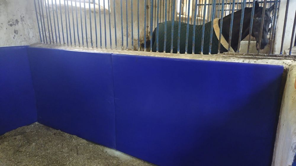 Центральный Московский ипподром Центральный Московский ипподром