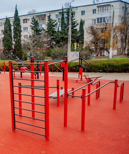 Уличная многофункциональная рама с элементами ЛОВ FOREMAN FY-2260.1#3