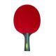 Ракетка для настольного тенниса TORRES Training 2* (коническая ручка)#10 Ракетка для настольного тенниса TORRES Training 2* (коническая ручка)#10