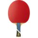Ракетка для настольного тенниса DOUBLE FISH 5A+C (коническая ручка) ITTF Approved#7 Ракетка для настольного тенниса DOUBLE FISH 5A+C (коническая ручка) ITTF Approved#7