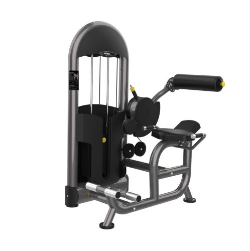 Тренажер Разгибатель спины FITEX PRO FTX-6217