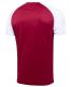 Футболка игровая Jogel CAMP Reglan Jersey#6