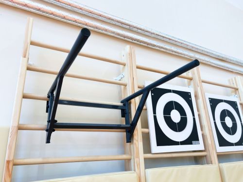 Брусья навесные (на шведскую стенку) СТ-27#7