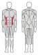 Твистер машина FITEX PRO FTX-6219#2 Твистер машина FITEX PRO FTX-6219#2