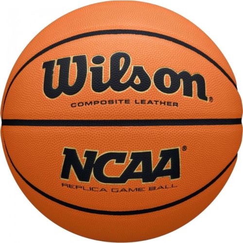 Мяч баскетбольный WILSON Evo Nxt Replica №7 (композит) Мяч баскетбольный WILSON Evo Nxt Replica №7 (композит)