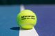Мяч теннисный NEVA SPORT Team All Court ITF Approved (4 шт.)#7 Мяч теннисный NEVA SPORT Team All Court ITF Approved (4 шт.)#7