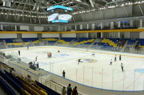 Хоккейный борт с защитным ограждением зрителей без стоек (двойной)#8