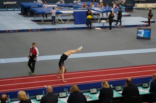 Фиберглассовая акробатическая дорожка FIG Approved#3