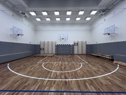 Стенка гимнастическая "Элит" 2400х900х150мм ГОСТ (боковины из мебельного щита, буковые перекладины, в деталях) СТМ-534#5