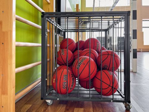 Корзина для мячей передвижная 750х1050х750 на 40 шт. (пруток) СТ-111#8