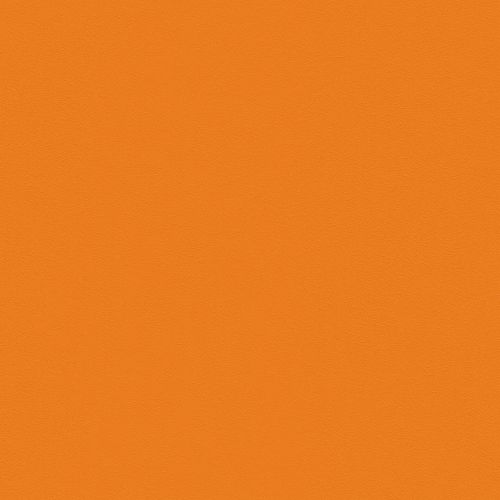 Спортивный линолеум TARKETT OMNISPORTS ACTION 65 Спортивный линолеум TARKETT OMNISPORTS ACTION 65