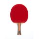 Ракетка для настольного тенниса DOUBLE FISH J9#8 Ракетка для настольного тенниса DOUBLE FISH J9#8
