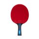 Ракетка для настольного тенниса TORRES Club 4* (коническая ручка)#10