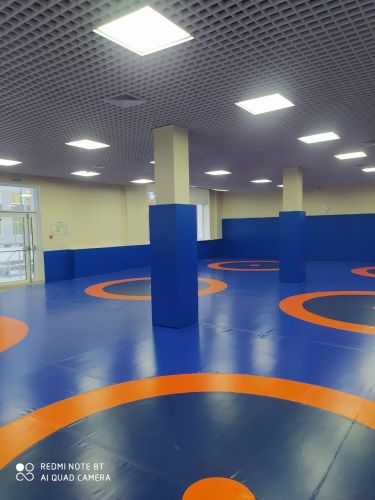 Ковёр борцовский 8х8х0,05 м, эквивалентно пл.160 кг/м3 (ППЭ/НПЭ, трёхцветный) СТП-86#5