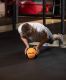 Медбол высокой плотности STARFIT GB-702 3 кг (оранжевый)#3 Медбол высокой плотности STARFIT GB-702 3 кг (оранжевый)#3