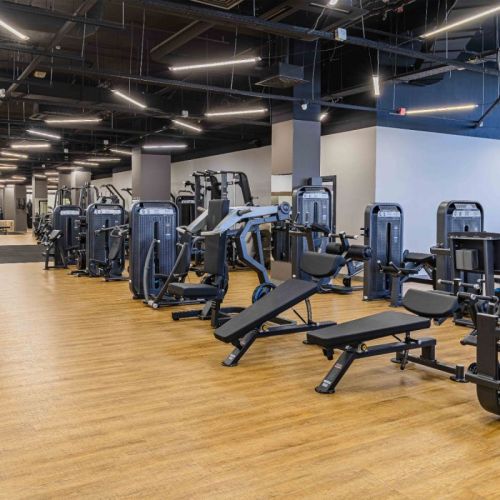 Бицепс-машина сидя DHZ U3030D-JZ (E5030)#6 Бицепс-машина сидя DHZ U3030D-JZ (E5030)#6